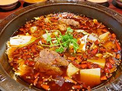 受气牛肉-受气牛肉·重庆耙牛肉(南坪总店)