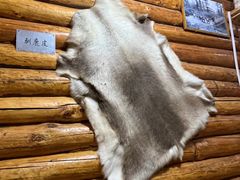 -哈乌尔河