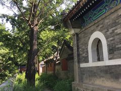 -阳台山自然风景区