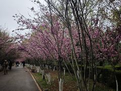 -昆明动物园