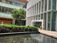 -香港大学