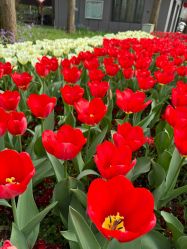 -派对猴生日派对策划(浦东店)