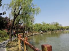 -黄兴公园