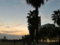 -金沙湖公园
