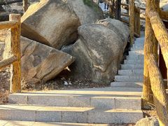 -白水寺森林公园
