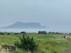 -涉地可支