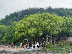 -天目湖山水园