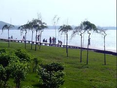 -丁香湖公园