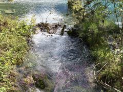 -九寨沟-树正沟