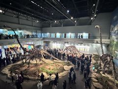 -自贡恐龙博物馆