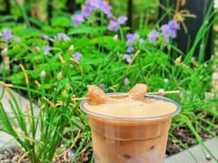 -大小咖啡 BigSmallCoffee(麦子店)