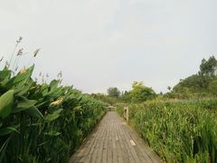 -白鹭湾湿地公园