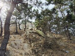 -浮山香苑