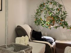 -麦子MaiMassage(打浦桥店)