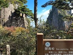 -黄山风景区