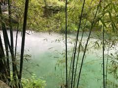-三峡人家风景区