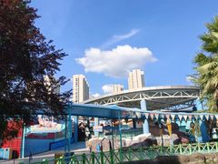 -海合安武汉极地海洋公园