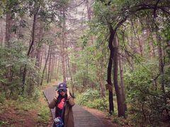 -帽儿山国家森林公园