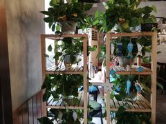 大堂-猫姑娘大盘鸡(商城路店)