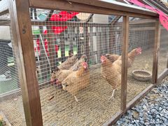 -HERRE·FARM 赫尔露营农场·团建聚会包场