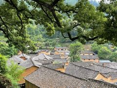 -杨家堂村