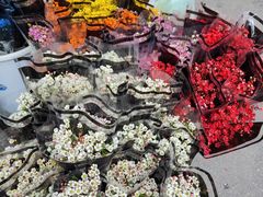 -循礼门鲜花花市(武汉循礼门店)