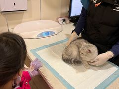 -萌兽医馆·犬猫专科·眼科中心·宠物医院(朝阳门分院)