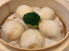 -金苑海鲜酒家(来魅力店)