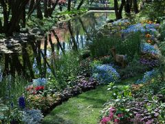 -上海共青森林公园