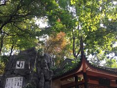 -白沙古井
