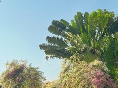 -深圳国际园林花卉博览园