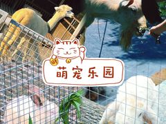 -栖露营camping·天幕烧烤·团建拓展·采摘营地