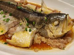 -顺意·顺德家乡菜(国际人才大厦店)