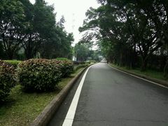 -福建鲤鱼洲酒店