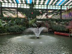 -第五季龙水凤港生态露营农场