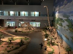 -自贡恐龙博物馆