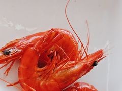 -红月湾海鲜饭店•沙滩海景(双月湾店)