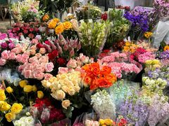 -桂林市花鸟市场