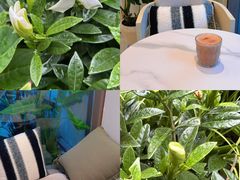 -Beans Solo豆号咖啡(百家湖花园店)
