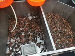 -拙味兄弟龙虾(新香洲店)