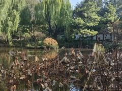 -秋霞圃