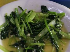 -煲来饱去冷水鱼