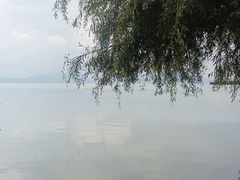 -捞渔河湿地公园
