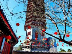 -西海子公园
