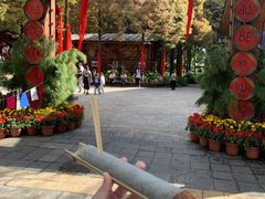 -云南民族村