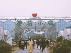 -建德果蔬乐园绪塘草莓基地