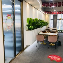 -子午孕教·孕妇瑜伽产后恢复(市北店)