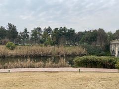 -眉山湿地公园(东坡区)