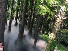 -东湖落雁景区