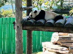 -西霞口神雕山野生动物世界